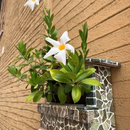 Notte Sul Colle * Recanati