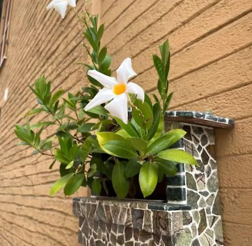 Notte Sul Colle * Recanati